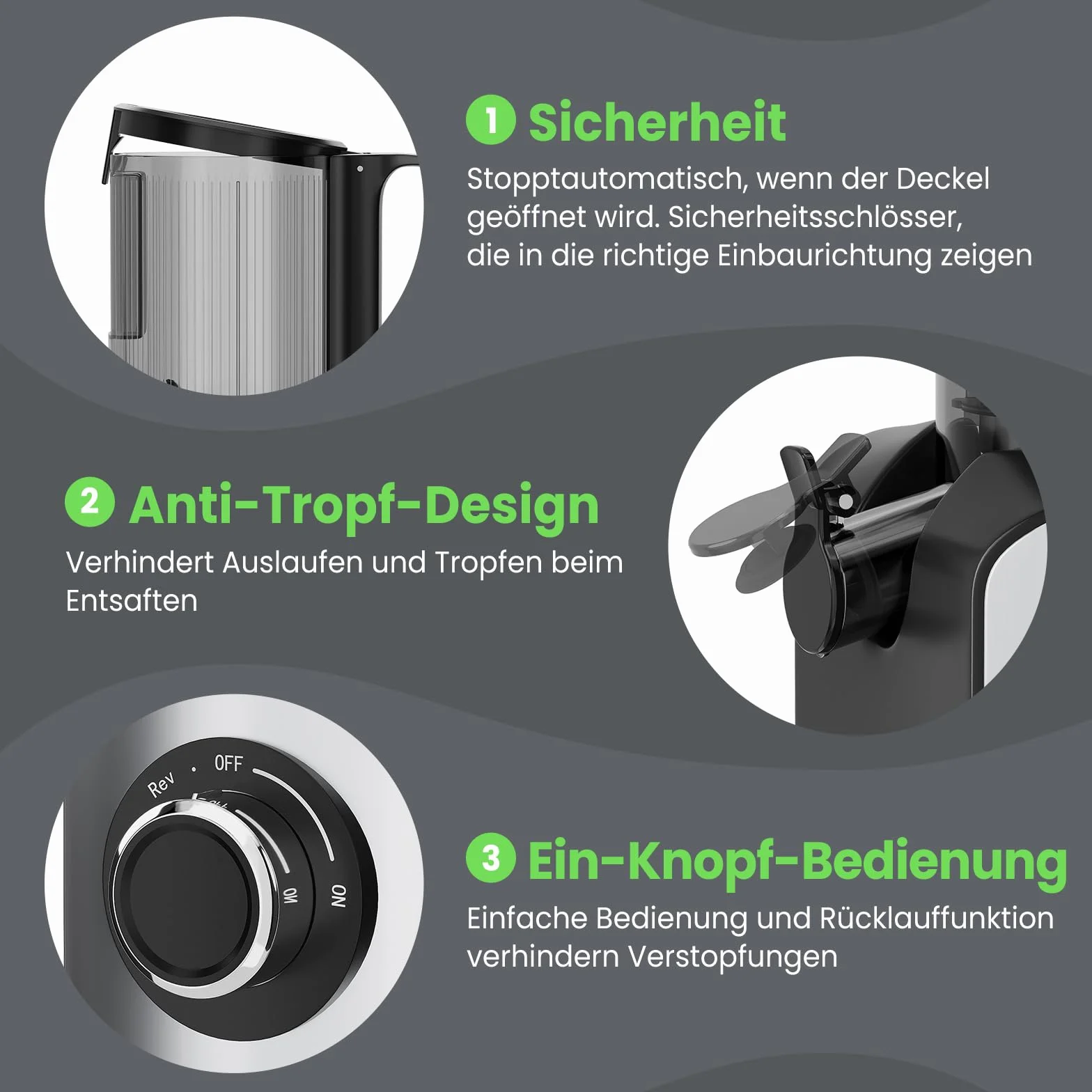 HOMELUX 220W Entsafter Slow Juicer mit 126 MM Breitem Einfüllschacht, Entsafter Gemüse und Obst Testsieger Saftpresse mit Dreifachem Filter, BPA-frei Einfache Reinigun, Silber