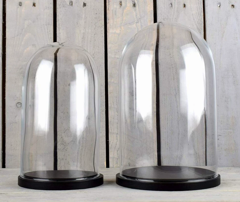 EMH Große Glaskuppel mit schwarzem Holzsockel, 41,5 x 16 cm