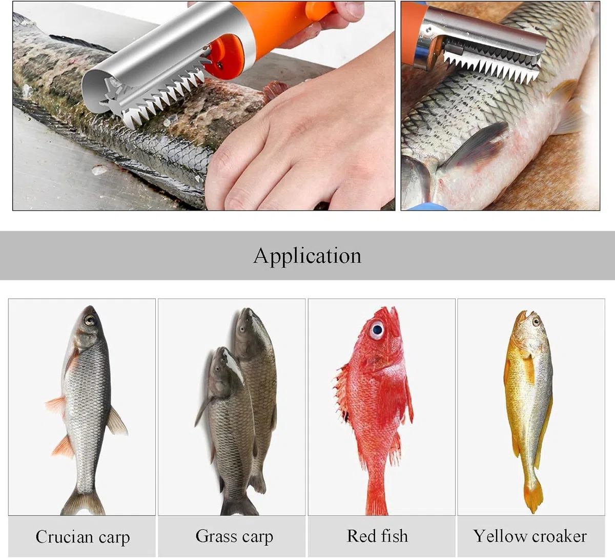 MXBAOHENG Elektrische Fischschuppen Entferner mit 1 Akku 2200mAh Wiederaufladbarer Elektrischer Fischschupper Wasserdicht 7000 RPM für Fischmärkte, Restaurants, Küchen (orange 1 Batterie)