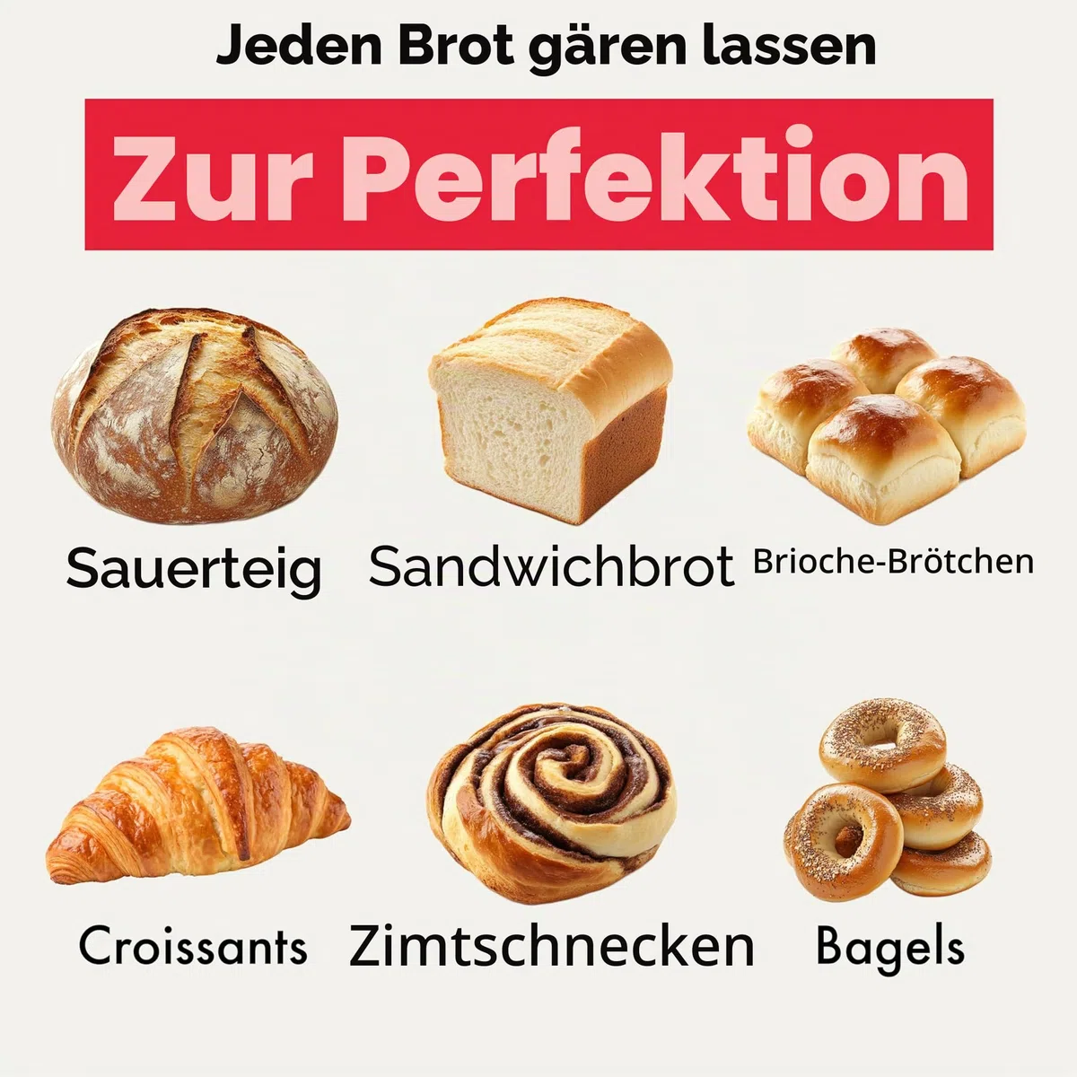 Brod and Taylor Regal-Set, Edelstahl Proofer and Slow Cooker weiß